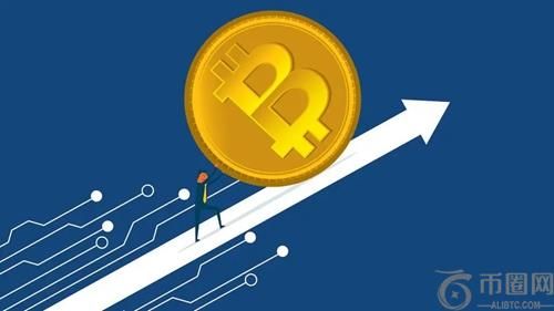 比特现金市场动态：价格、趋势与未来展望。