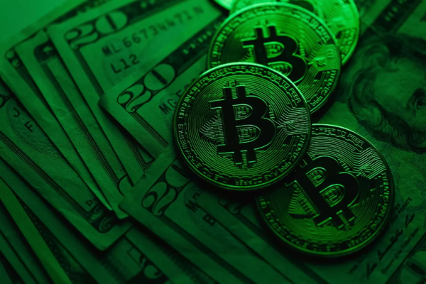 熊市掘金：近期值得关注与申请的十个潜力早期项目