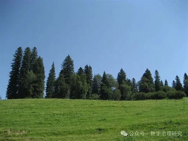 DeepSeek助力Web3转型：重塑企业价值与风险管理新模式