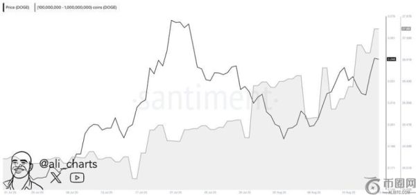 狗狗币鲸鱼活跃度创一个月新高，鲸鱼累计持有 20 亿狗狗币