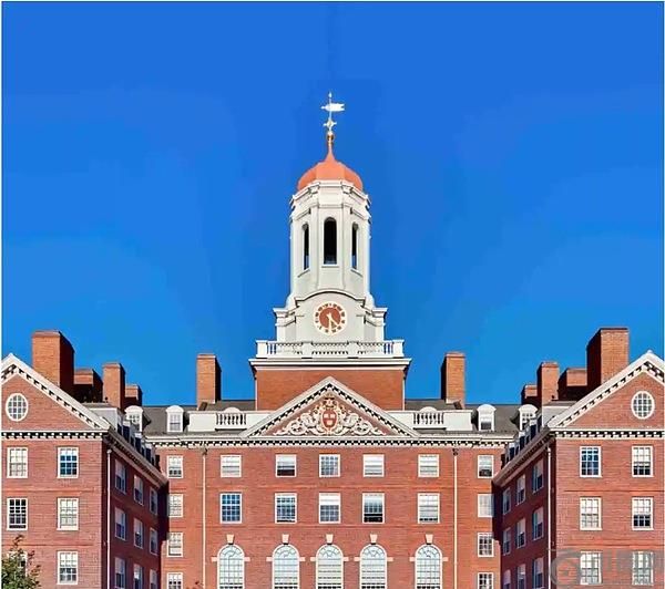 当哈佛耶鲁入场 顶尖名校里的加密江湖