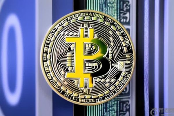 SSLX交易平台深度剖析：你不可不知的5大关键要点！